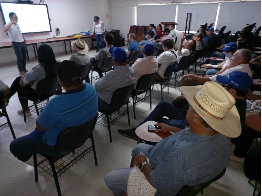Curso De Pastos4 AGROSAVIA