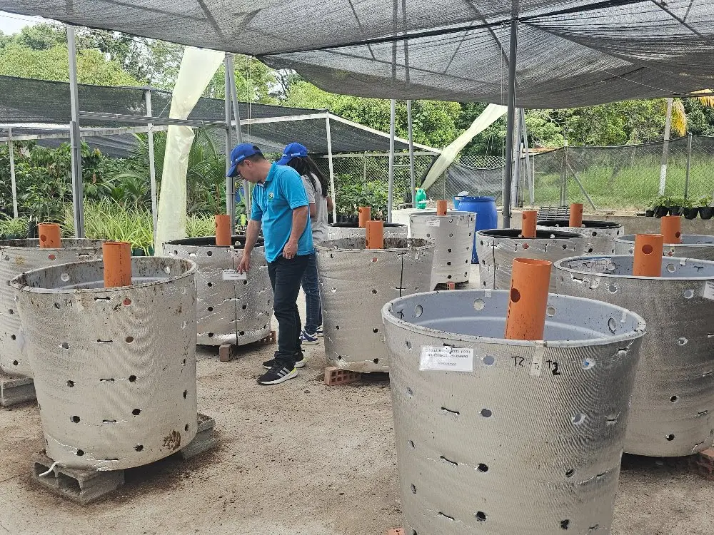 A lo natural: Nutrición de cultivos a partir de residuos orgánicos