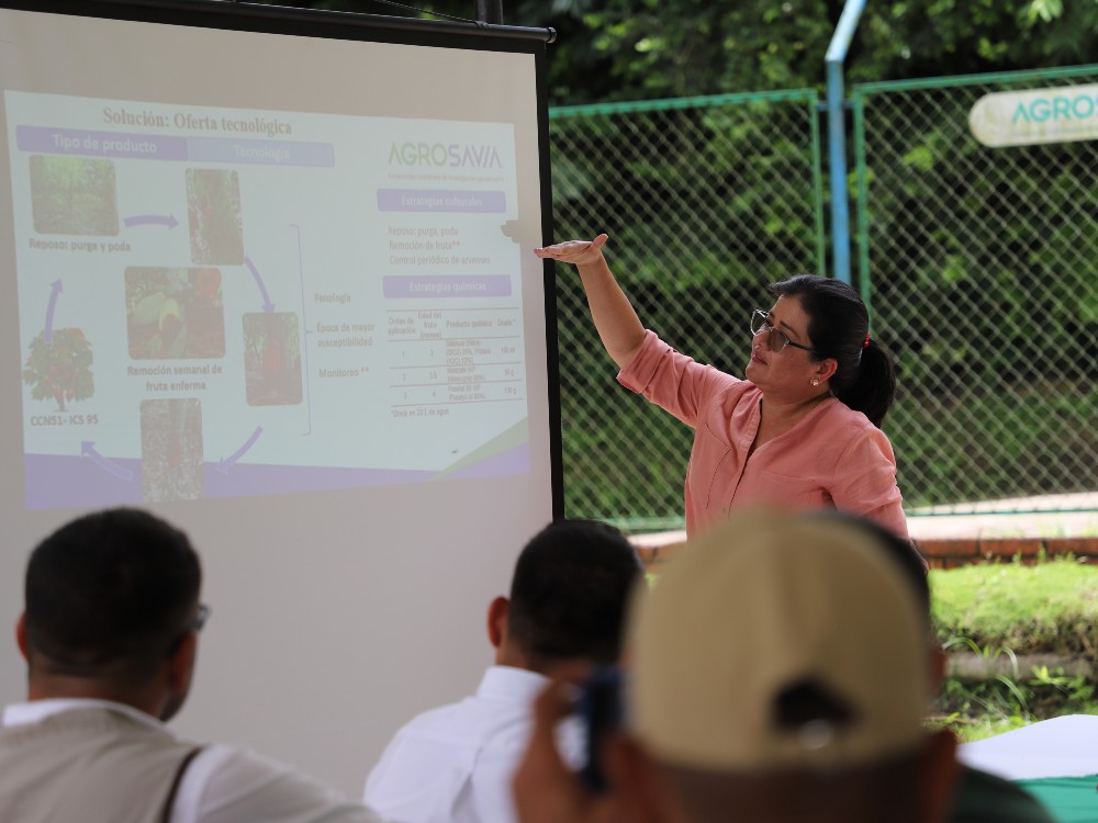 Entidades Del Sector Cacaotero Se Unieron Para Trabajar En Las Problemáticas Fitosanitarias De Los Agricultores Del País7 AGROSAVIA