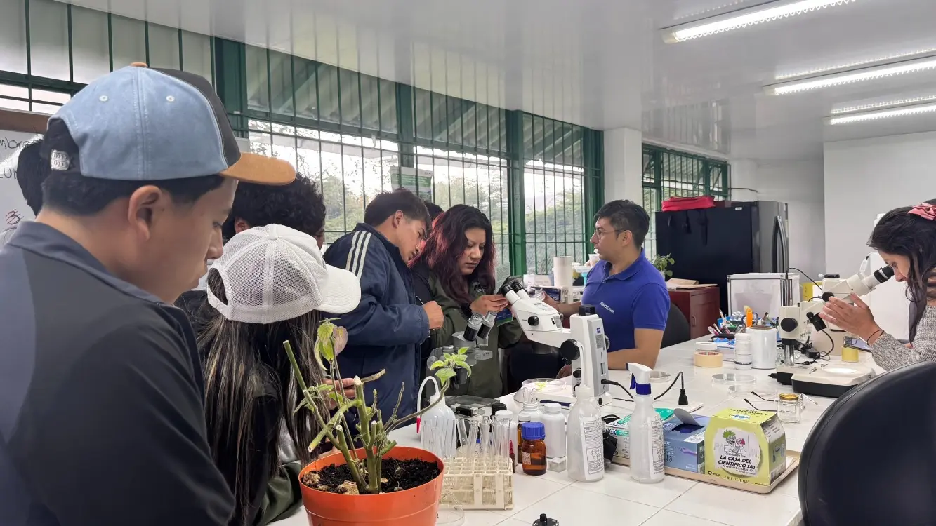 Visitas Obonuco2 Fotor Webp