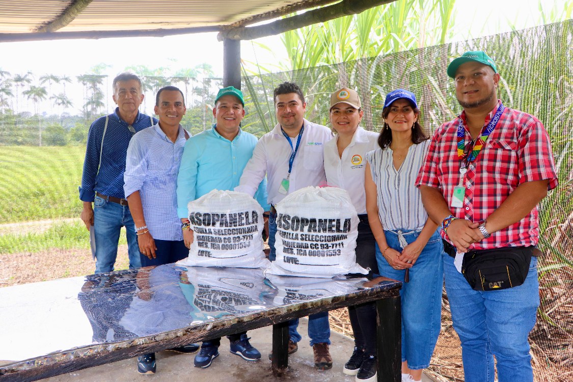 Certificacion Caña5 AGROSAVIA