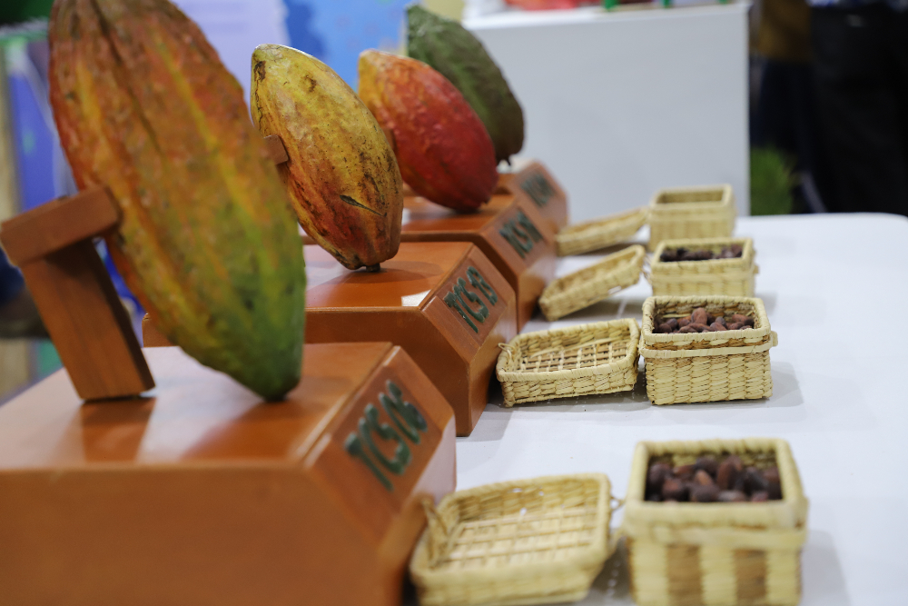 la producción científica colombiana se destaca a nivel internacional