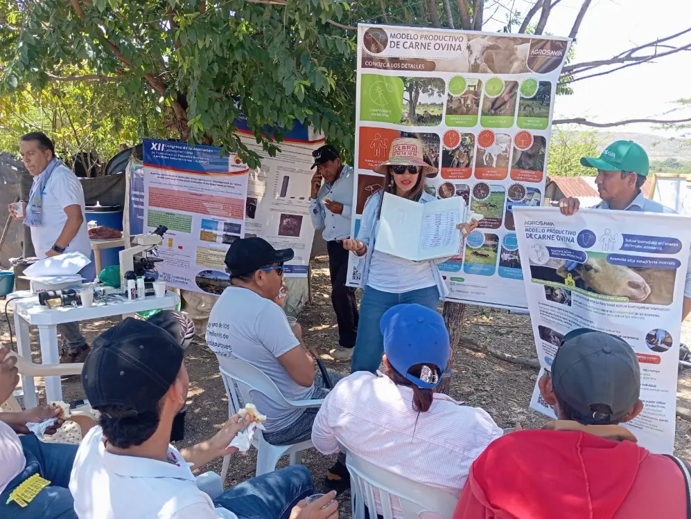 Promotoría Campesina Ovino Caprina5 Fotor Webp
