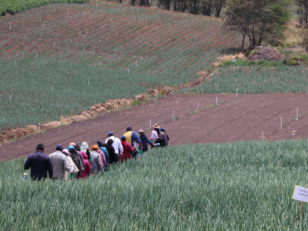 Producir con Buenas Prácticas Agrícolas no es garantía de producir sosteniblemente