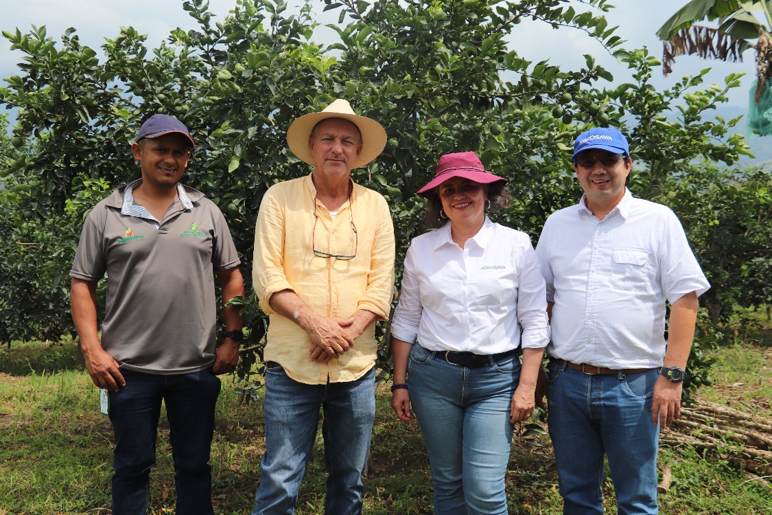Gira Técnica Aguacate Eje Cafetero2 AGROSAVIA