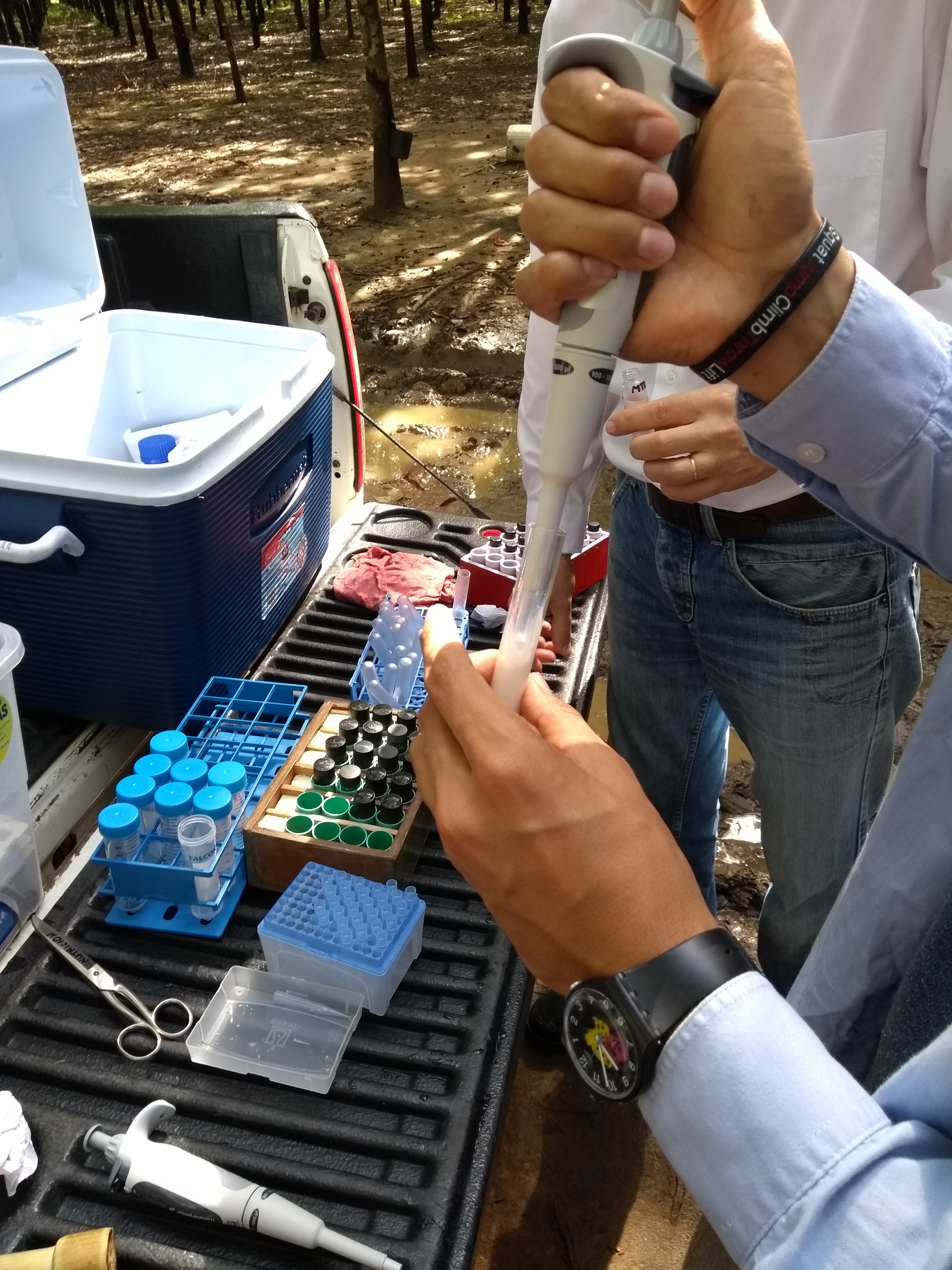 6. 1Ml De La Muestra