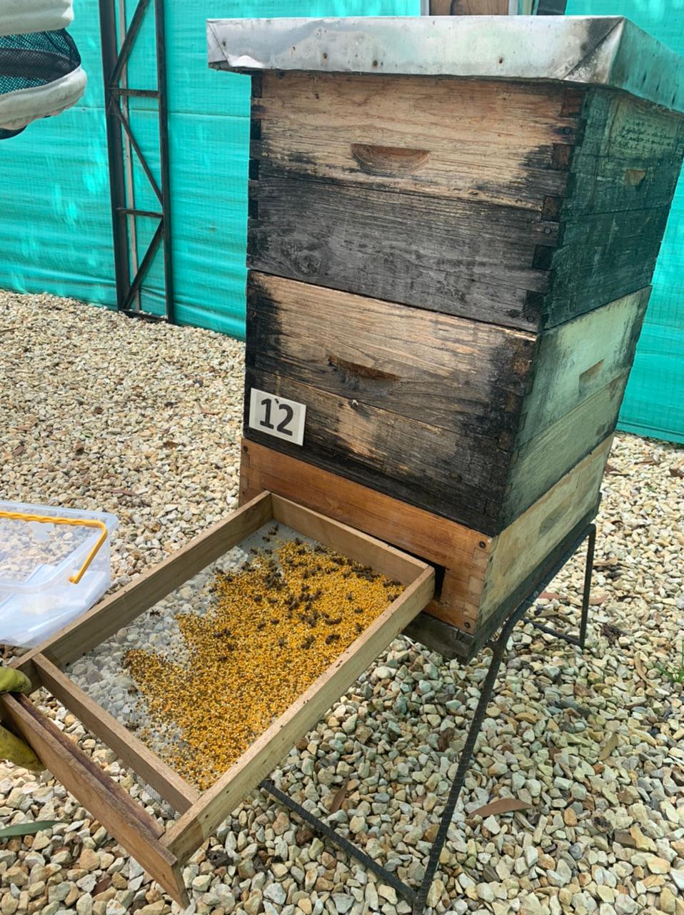 Whatsapp Image 2022 05 26 At 9.01.52 AM