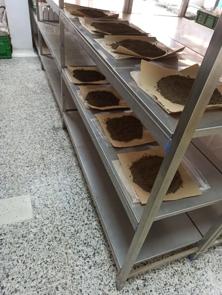 Nueva Tecnología HXRF3 Fotor Webp