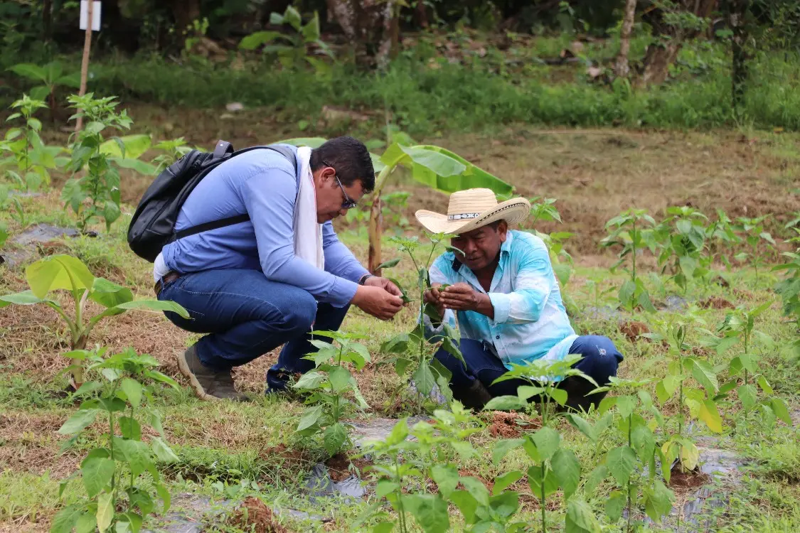AGROSAVIA promotes the agroecological transition