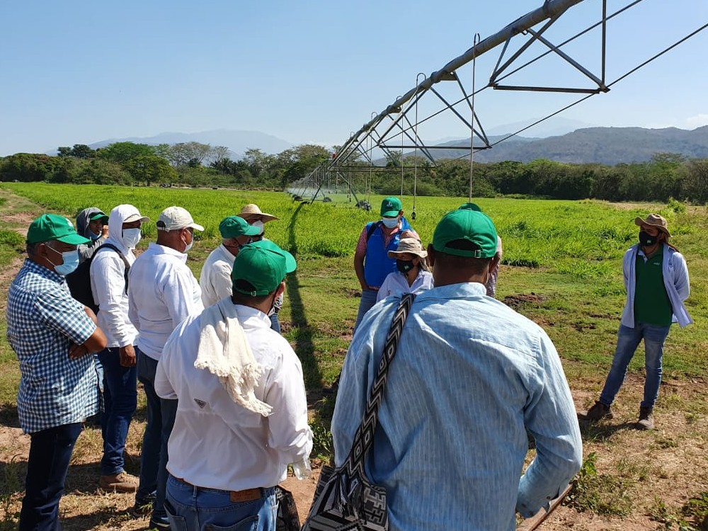 AGROSAVIA transfiere tecnología de riego con pivote a FEDEARROZ y agricultores de la región 