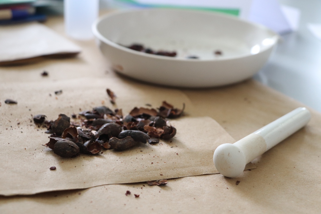 Primer Mapa De Cd En Grano De Cacao2 AGROSAVIA