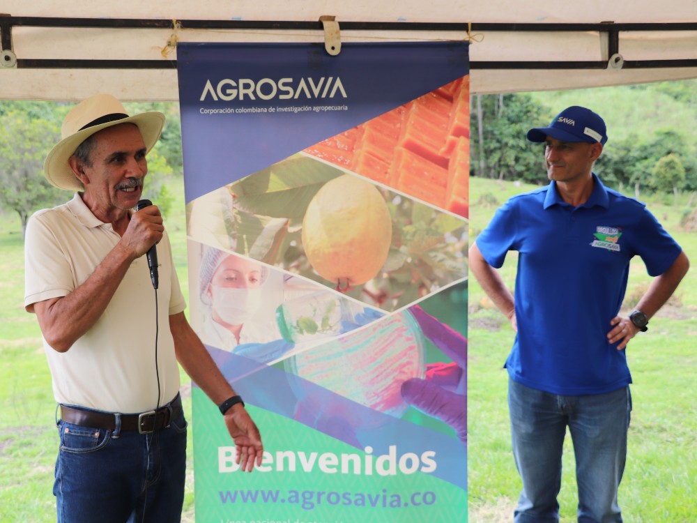 Atención Paneleros, Disponible Una Hornilla Más Productiva, Eficiente Térmicamente Y Sostenible2 AGROSAVIA