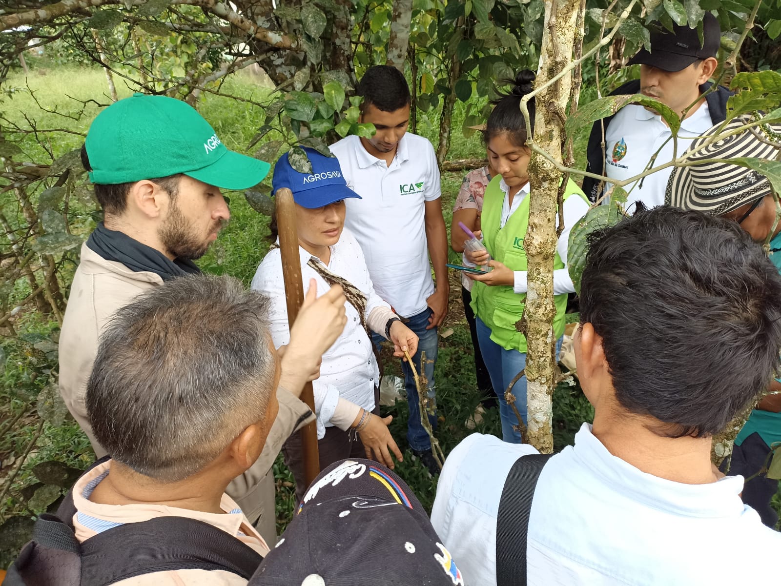 Avanaza Proyecto UNODC3