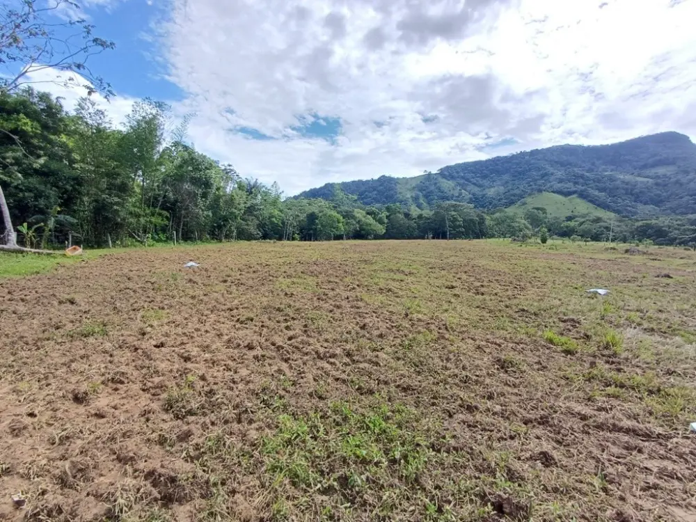 AGROSAVIA alerta sobre la vulnerabilidad