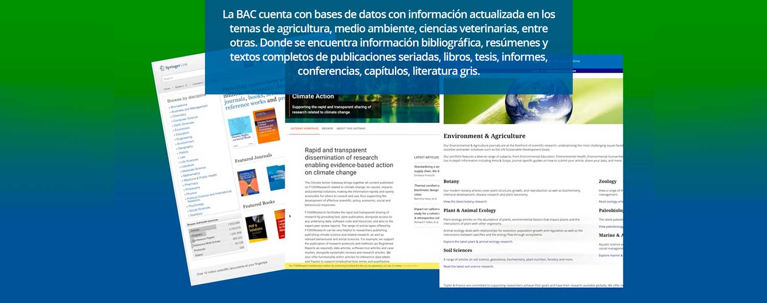 Base De Datos