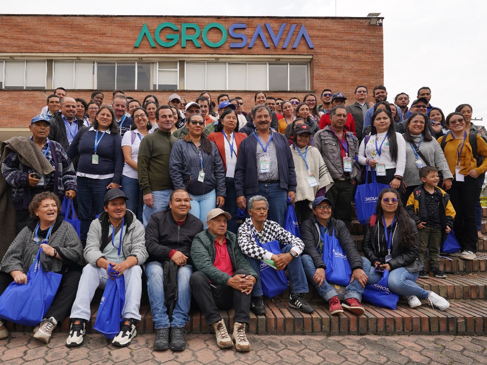 Research led by AGROSAVIA bears fruit in the reactivation of Cape Gooseberry (uchuva) production