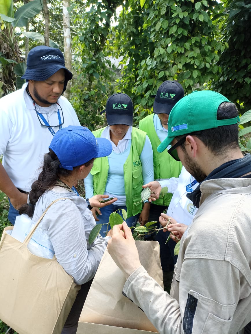 Avanaza Proyecto UNODC4
