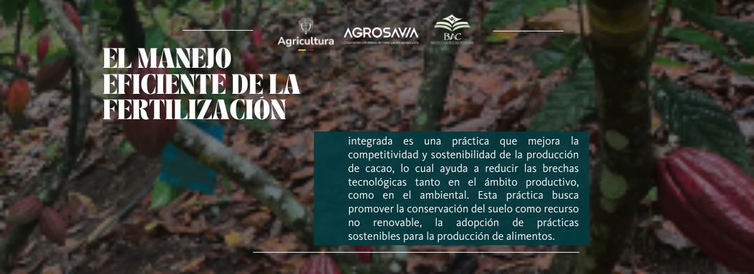 Manejo De La Fertilización Integrada En El Cultivo De Cacao Manual Orientado A La Región Del Catatumbo3