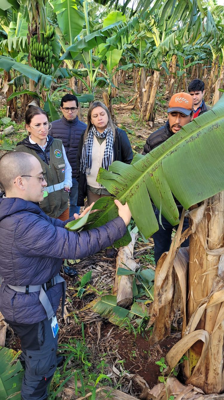 AGROSAVIA En Paraguay7 AGROSAVIA