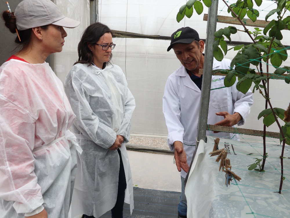 Un encuentro estratégico en Tibaitatá: Sinergias entre la Dirección de Desarrollo Rural Sostenible del DNP y AGROSAVIA