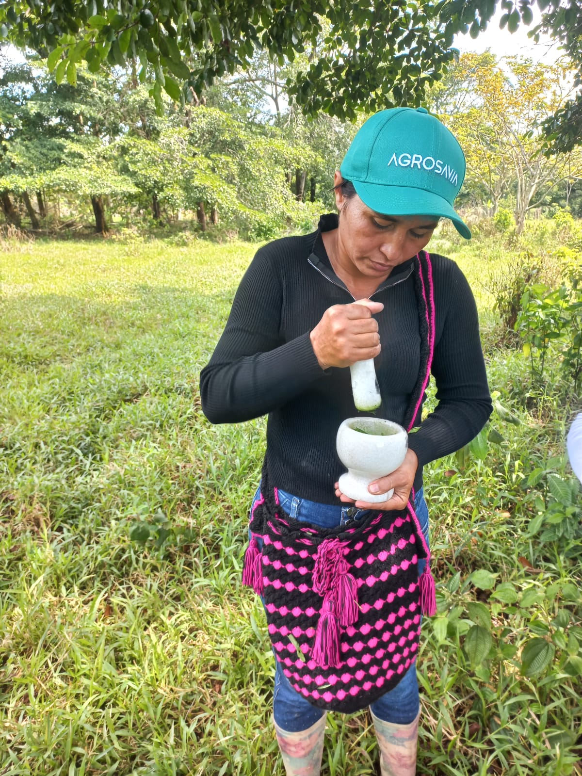 Maceración De Muestras