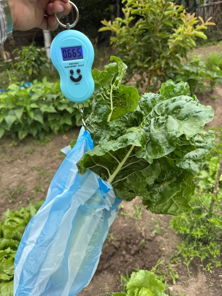 Proyecto Fortalece La Soberanía Alimentaria A Través Del Diseño Participativo De Sistemas Agroecológicos En La Zona De Reserva Campesina De Colón Génova4 Fotor Webp