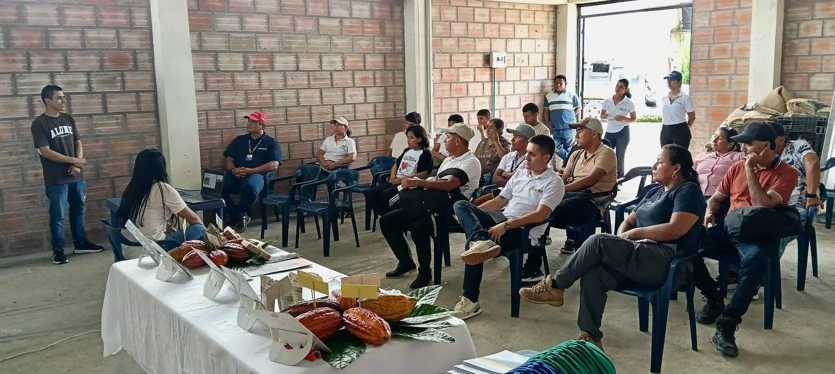 Cacao, Plátano, Meliponas Y Memoria Nasa3 Fotor Webp