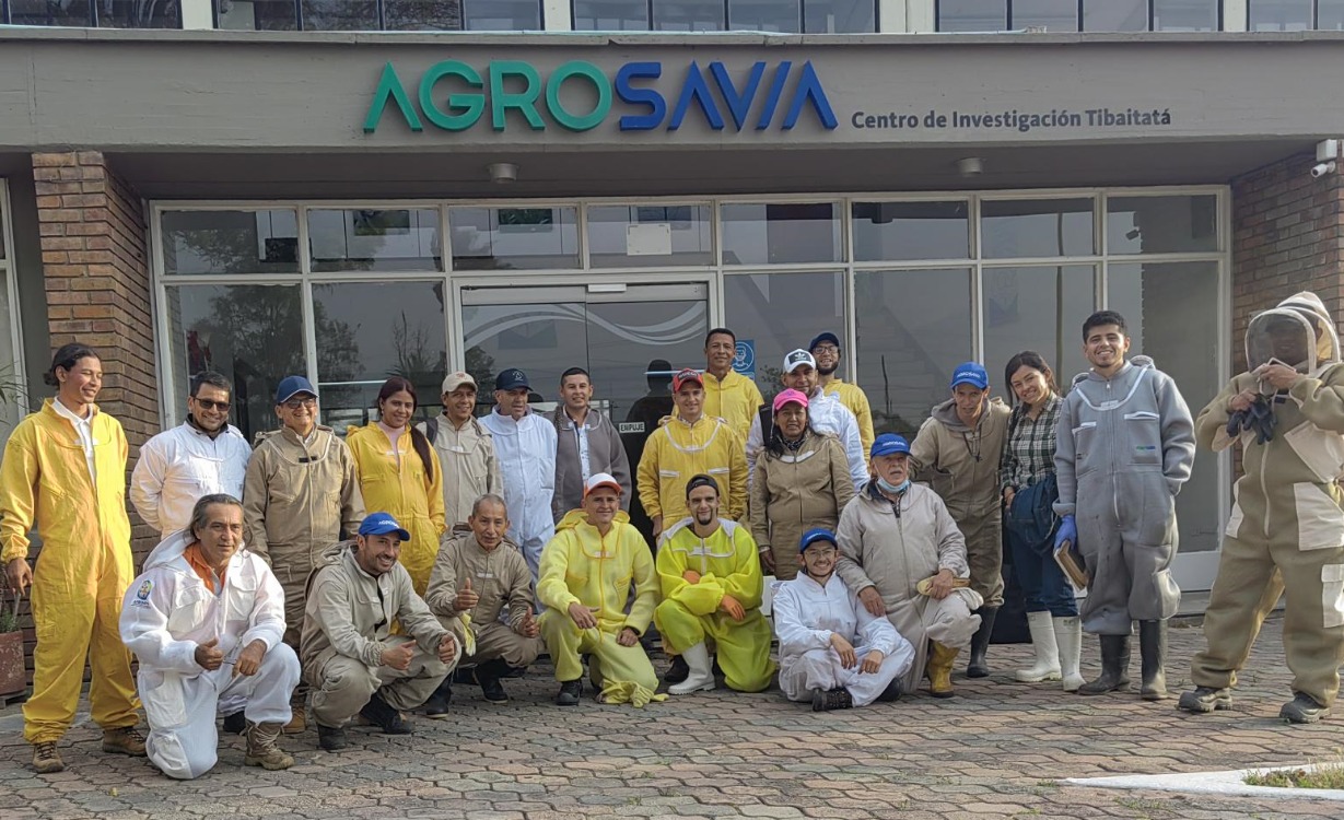 Apicultores de Colombia, habilitada encuesta nacional apícola