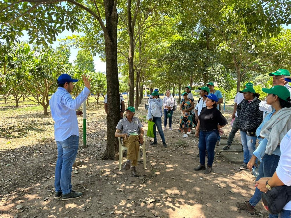 AGROSAVIA Capacita A Productores Del Cesar En El Marco Del Plan De Vinculación Del Caribe Seco2 AGROSAVIA