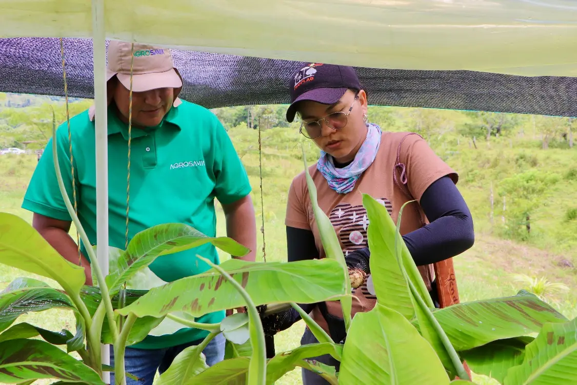 La Savia De La Tierra2 Fotor Webp