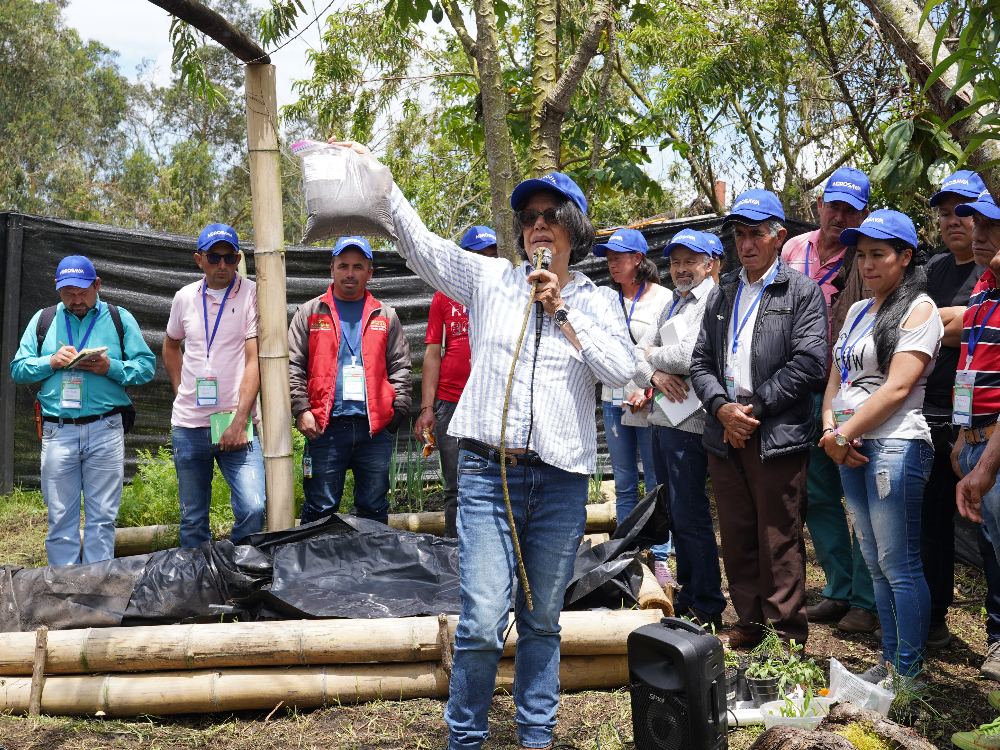 Competitividad y sostenibilidad de la uchuva gracias a microorganismos benéficos