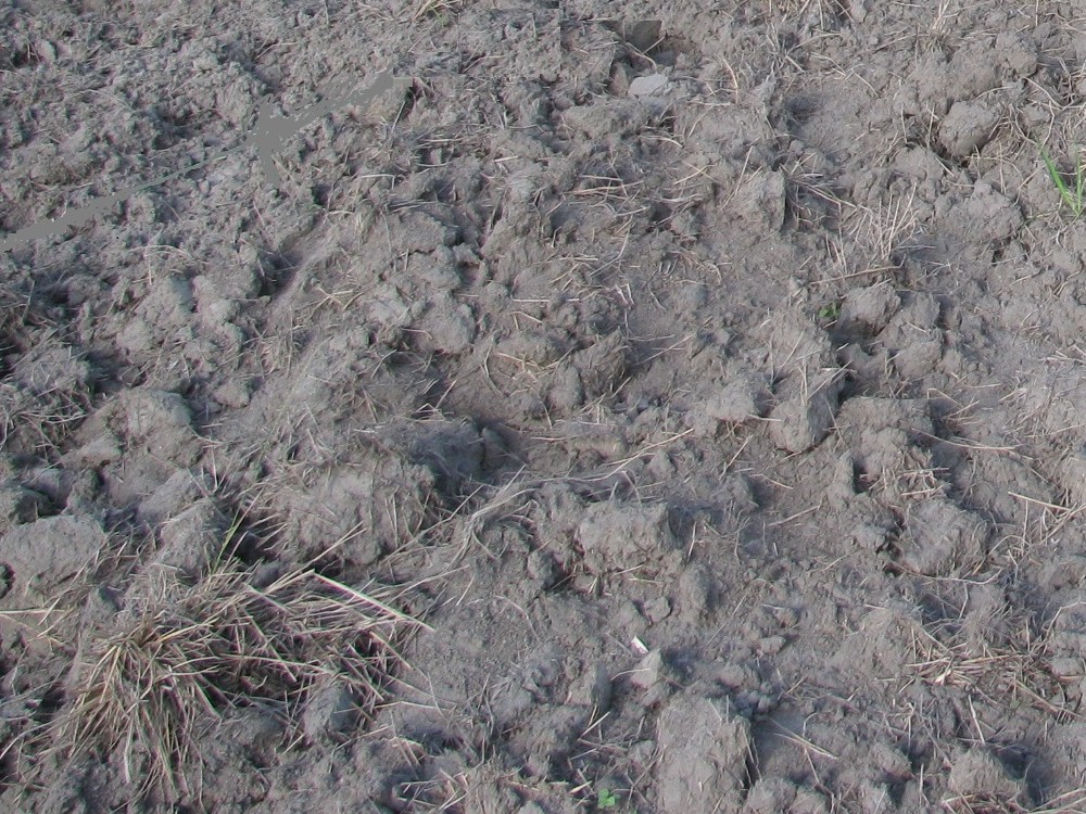 Articulo Seminario Suelos Y Agua4 AGROSAVIA