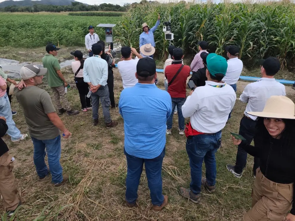 Agricultura 4.03 Fotor Webp
