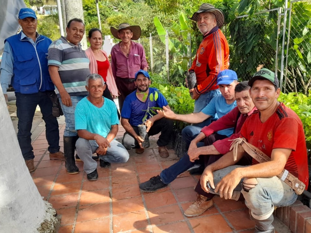 AGROSAVIA entregó 2 mil árboles maderables y 40 mil plantas de cacao en el Catatumbo