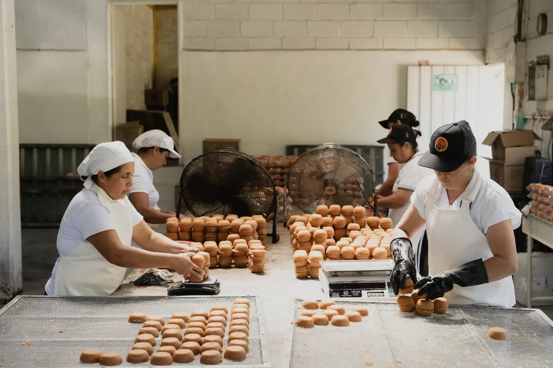 Alianza Entre AGROSAVIA Y Gramalote Colombia4 Fotor Webp