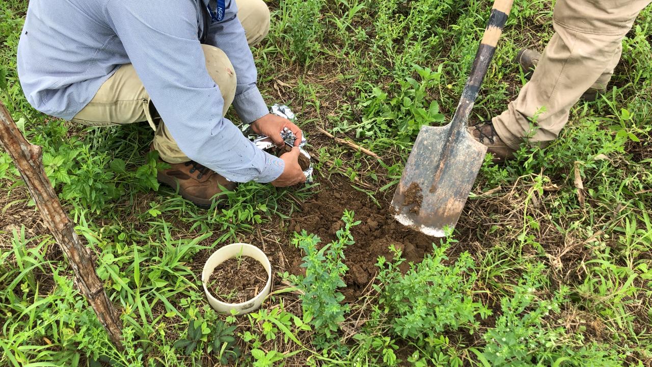 Whatsapp Image 2025 04 08 At 2.07.33 PM