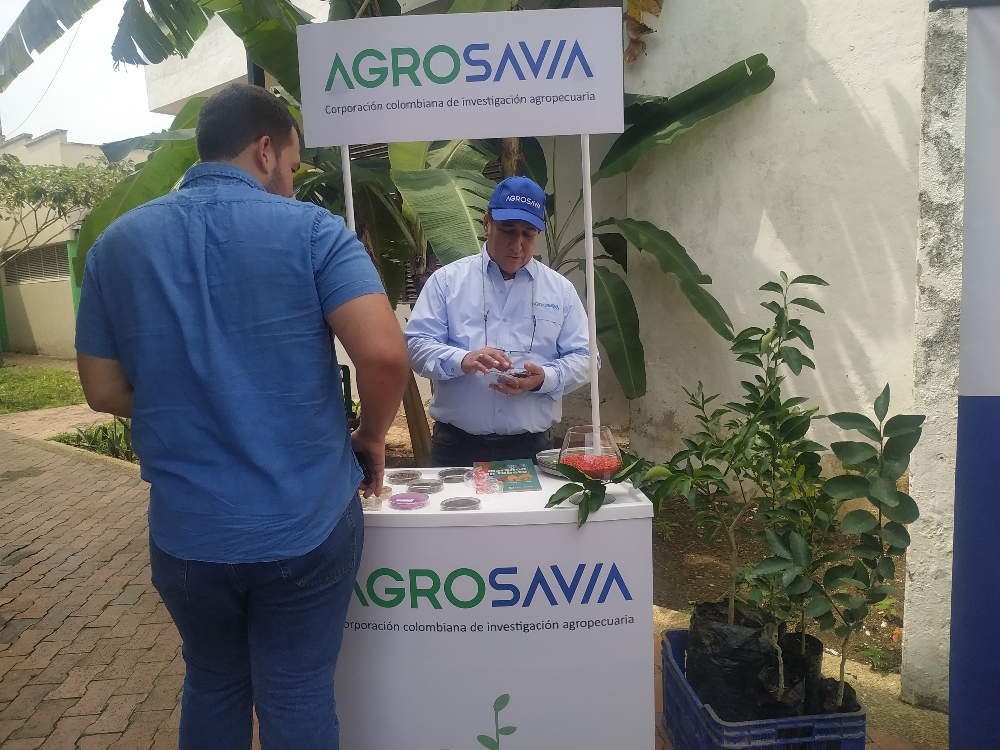 El Centro De Investigación La Libertad Firma La Alianza Público Privada Para El Cultivo De Lima Tahití Del Meta AGROSAVIA
