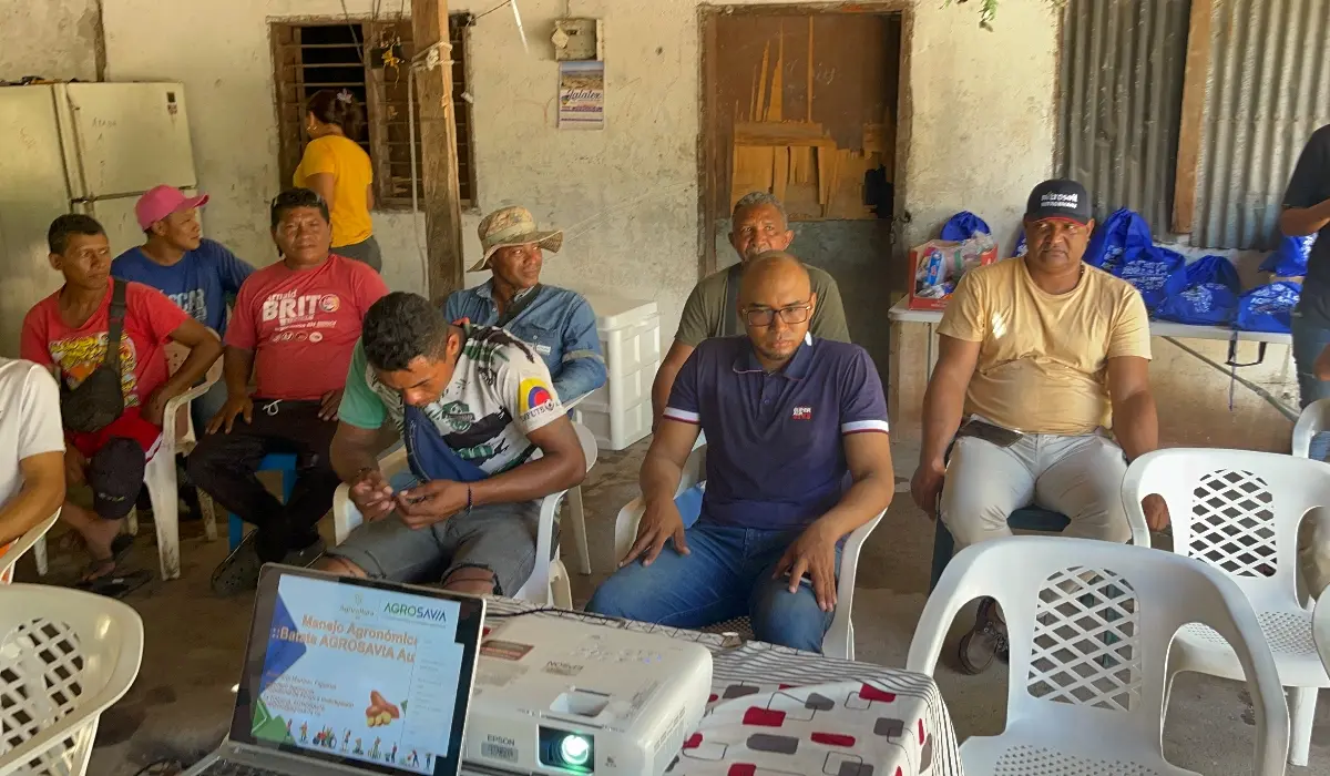 IMG 6069 Fotor 20251229173441