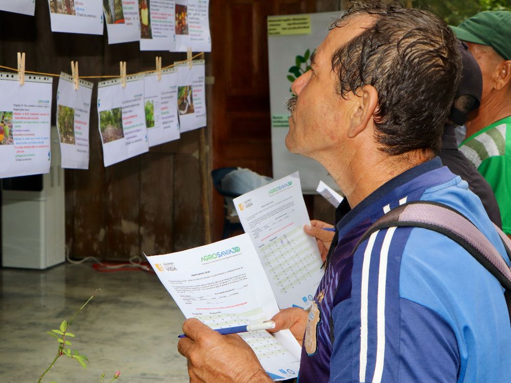 PV Territorial Putumayo6 AGROSAVIA