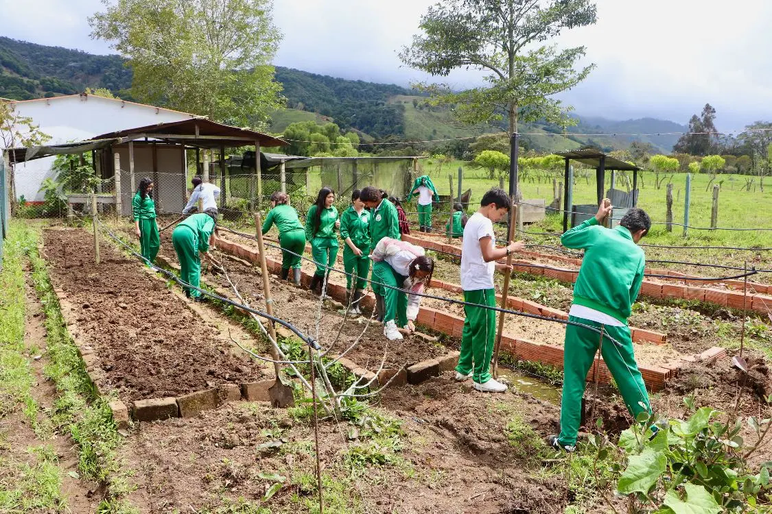 Jóvenes De Balsillas6 Fotor Webp