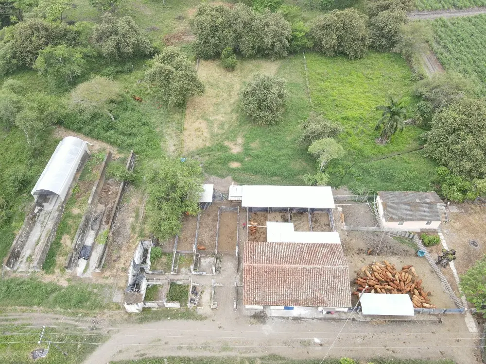 Alonatural Nutricion De Cultivos Conresiduos3 Fotor Webp