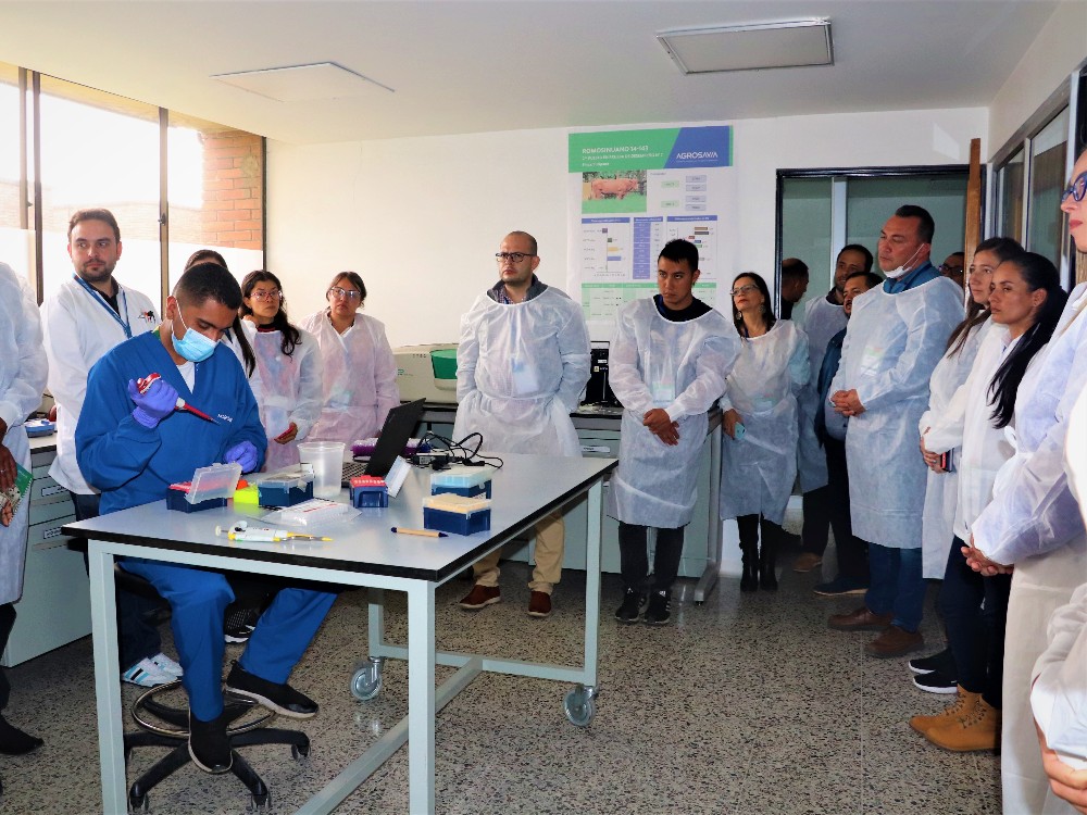 Seminario Académico Sobre Cadmio En Cacao Proyecto Fontagro2 AGROSAVIA