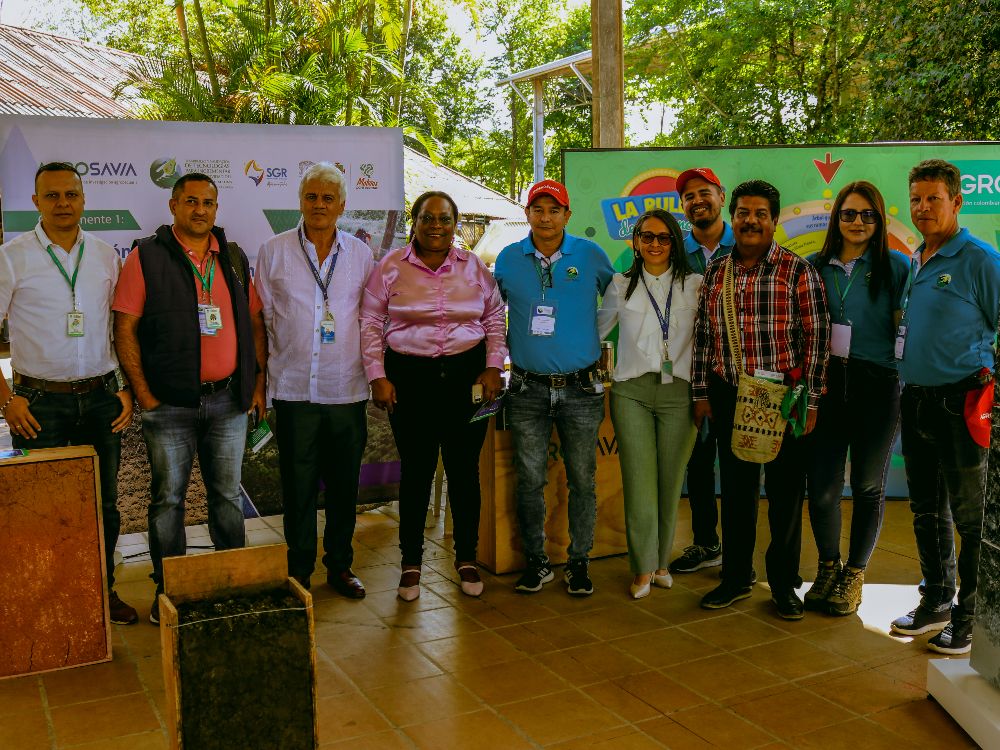 El Oro Verde Se Abre Camino En El Departamento Del Cauca3 AGROSAVIA