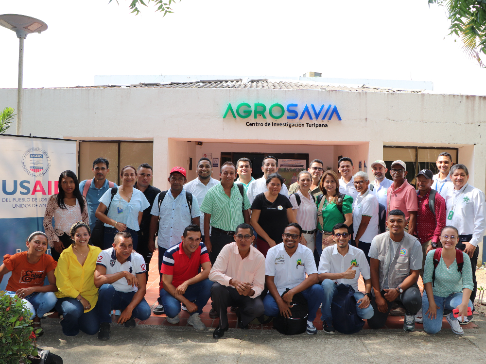 Conocimiento e identificación de tecnologías desarrolladas para la producción de semilla de ñame de alta calidad, fue el tema central del Seminario – Taller en Ñame que se desarrolló en Córdoba