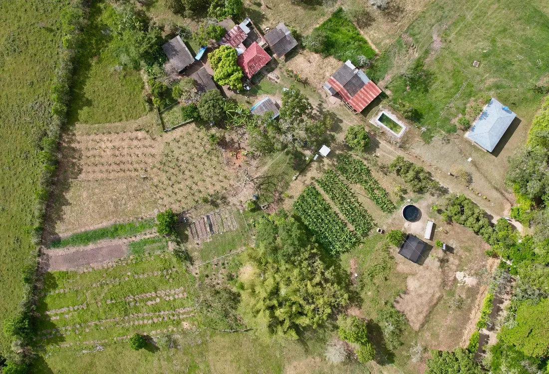 DJI 0965 Fotor 20250925103817
