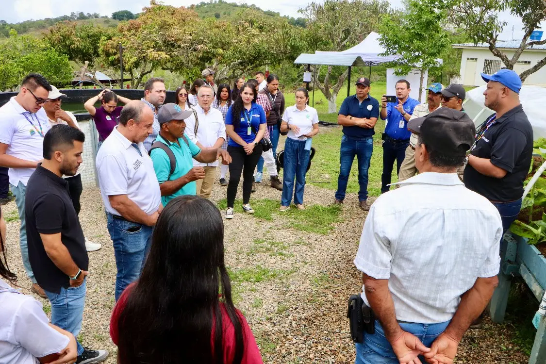 Una Nueva Raíz Para Tello3 Fotor Webp