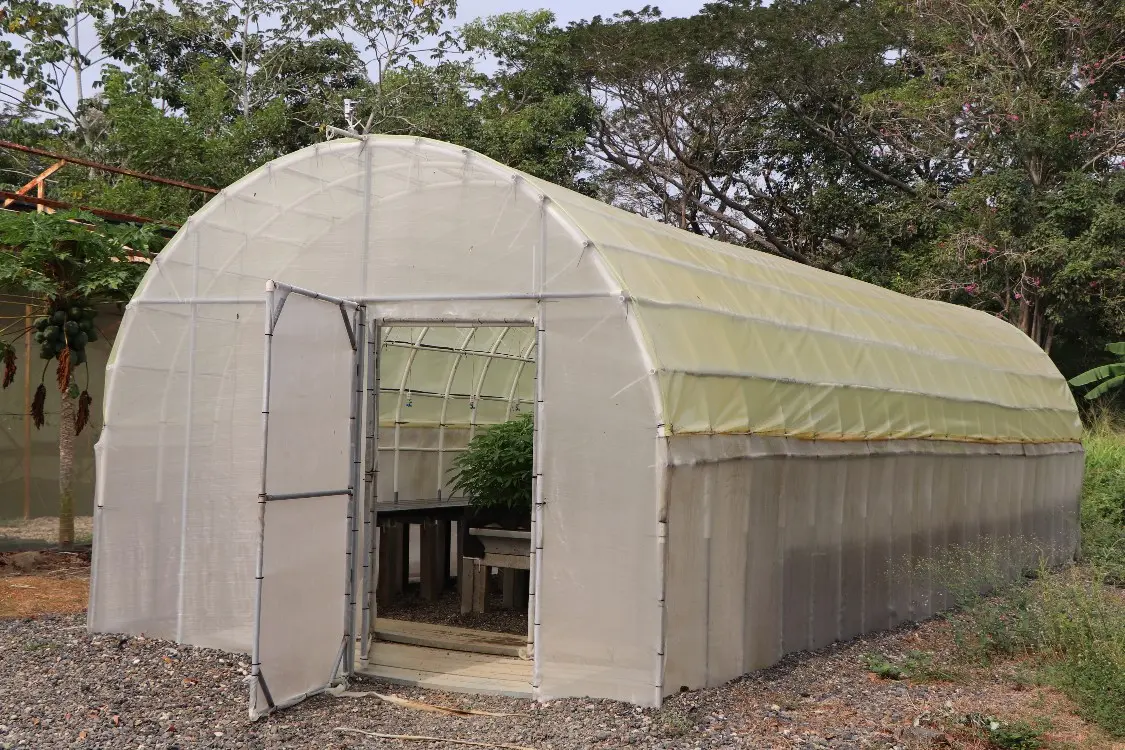 Sistemas De Túneles De Yuca2 Fotor Webp