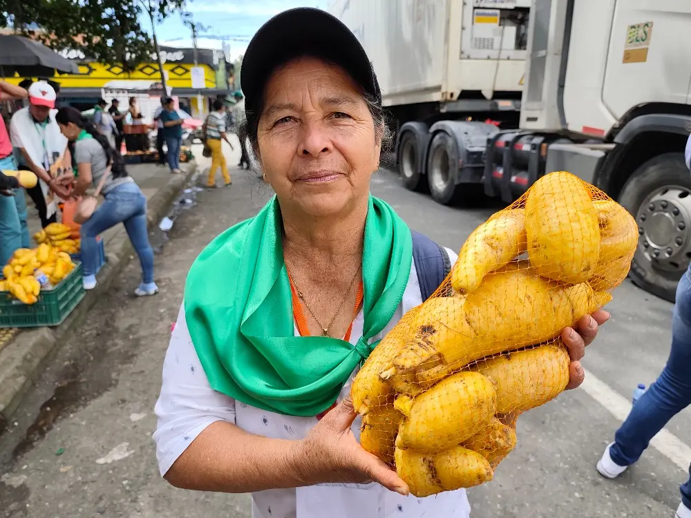 Arracachatón en Cajamarca
