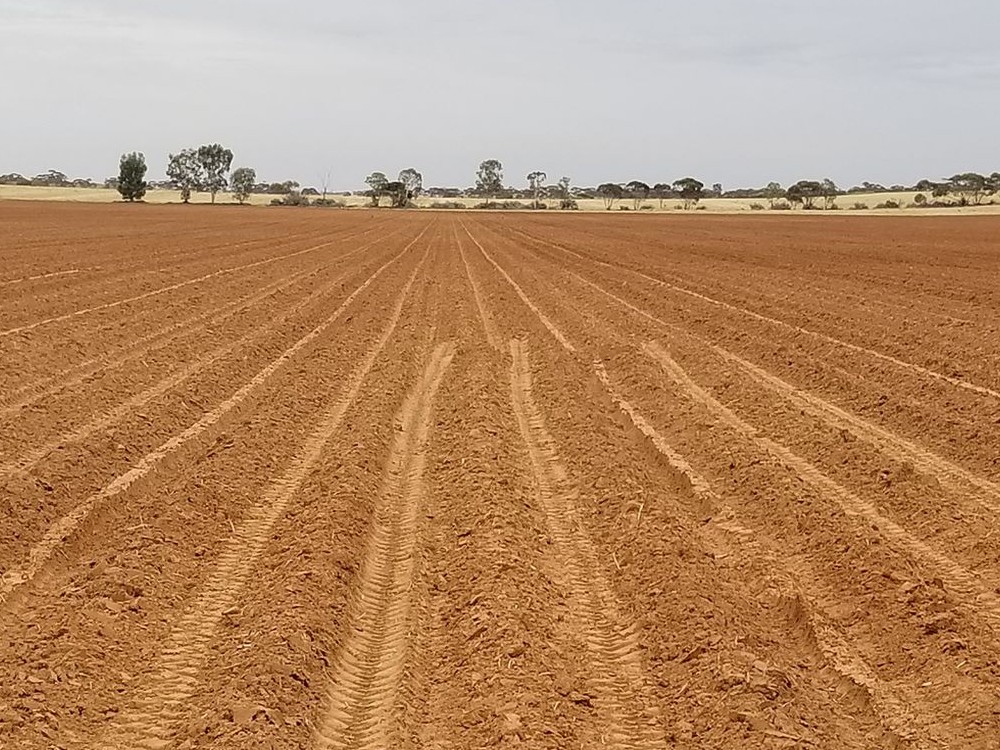 Articulo Seminario Suelos Y Agua5 AGROSAVIA