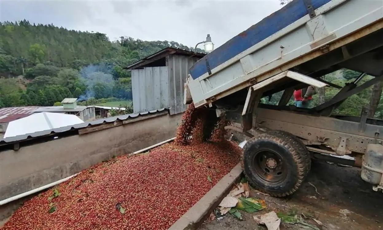 ¿Qué es, para qué sirve y cómo usted puede aprovechar la bioeconomía?